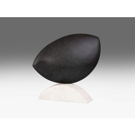 Drienyovszki János: Fekete-fehér harmónia, 2021