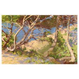 Poll Hugó: Fenyőfák