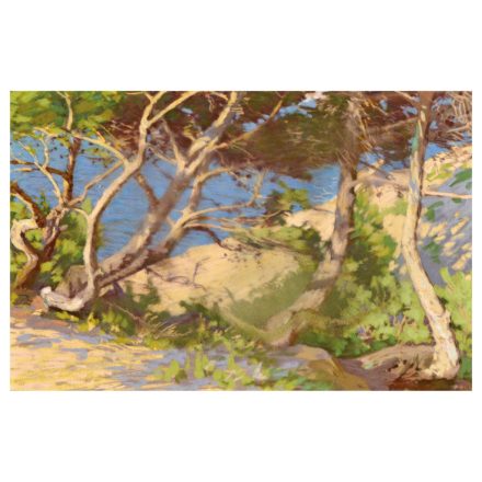 Poll Hugó: Fenyőfák