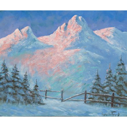 Vasvári Wertheimer Sándor: Alpesi ház