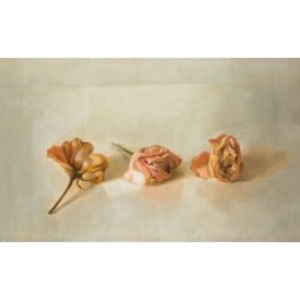 Hajdú Kinga: Három hervadt rózsa, 1997