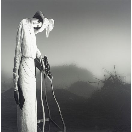 Cseri László: Családi album 1.