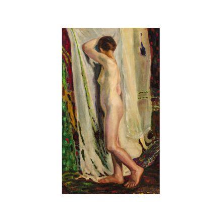 Pécsi Pilch Dezső: Akt