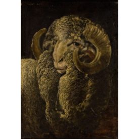 Bálint Árpád: Kosfej 