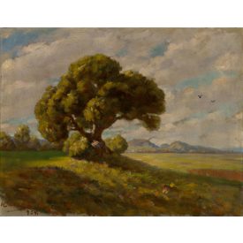 Kaszák jelzéssel: Erdőszéle 