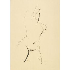 Ismeretlen alkotó: Akt