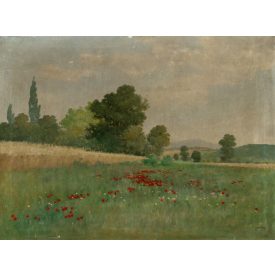 Szentgály jelzéssel: Pipacsok