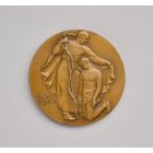 Reményi József: Semmelweis emlékplakett