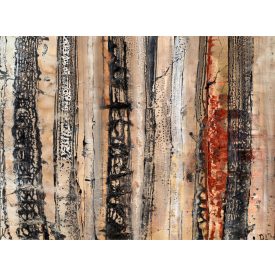 Rácz László: Ausztrál őserdő