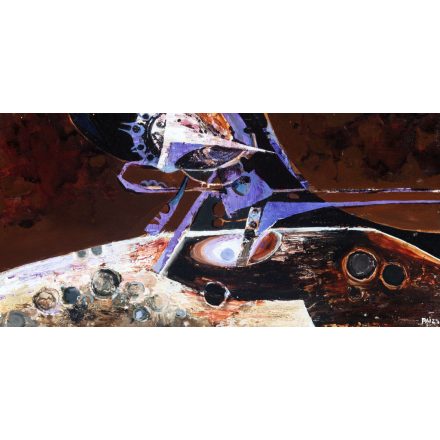 Paizs László: Űrhajózás