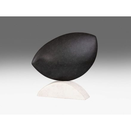 Drienyovszki János: Fekete-fehér harmónia, 2021