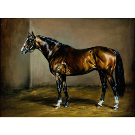 Ismeretlen festő: Versenyló