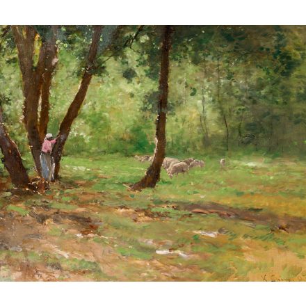 K. Spányi Béla: Erdőrészlet