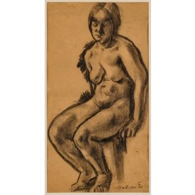 Mattioni Eszter: Akt