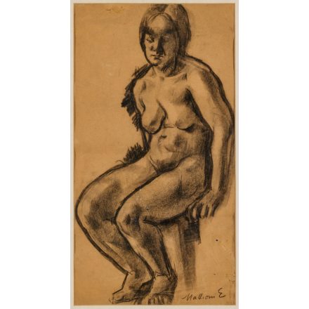 Mattioni Eszter: Akt