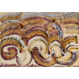 Vinkler László: Kígyóbőr