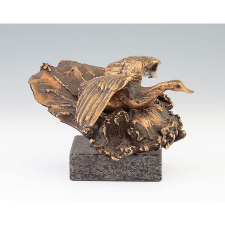 Eskulits Tamás: Hattyú 