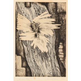 Maurer Dóra: Madár