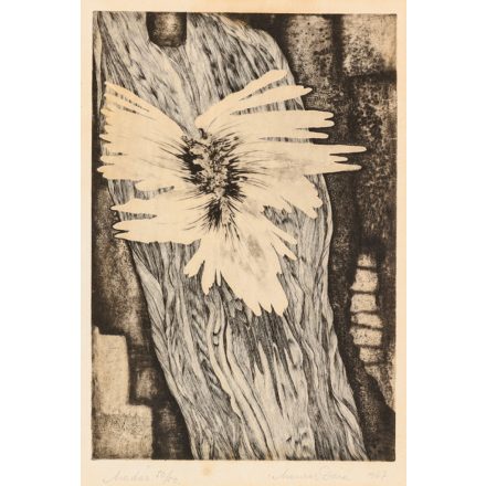 Maurer Dóra: Madár