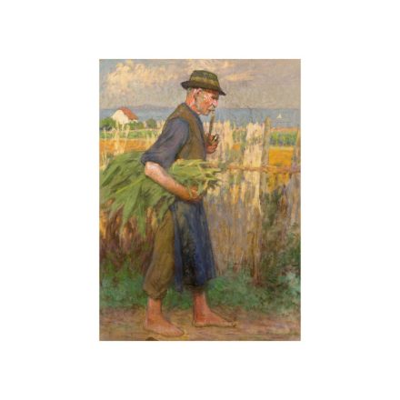 Poll Hugó: Falusi életkép